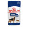 Royal Canin Maxi Adult – Hrană Umedă în Sos pentru Câini Adulți de Talie Mare – 140 g